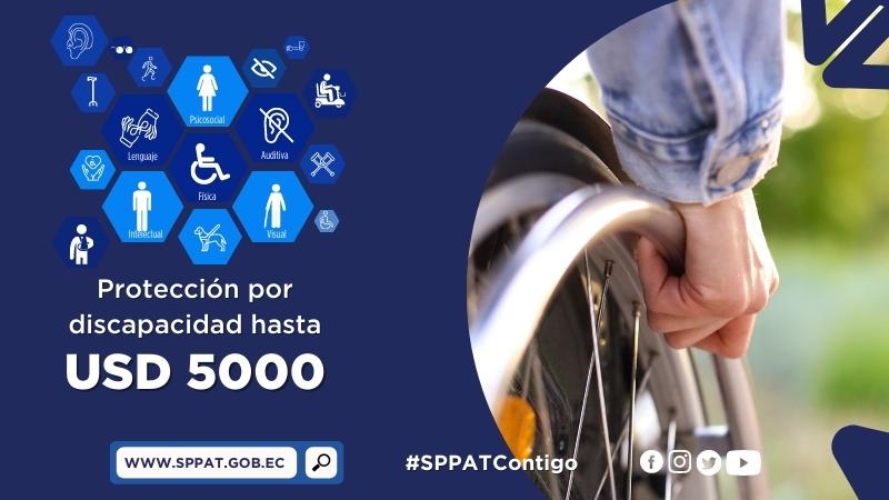 Requisitos Para Protecci n Por Discapacidad Servicio P blico Para 